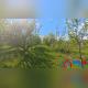 P_20260506_170057.jpg