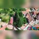 dji_fly_20250619_100830_93_1750316975627_photo_optimized_1.jpeg